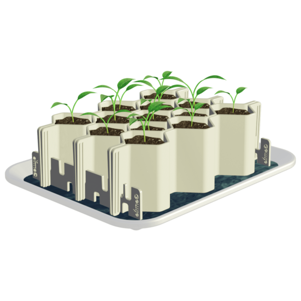 Kit de germination graines moyennes 25 plants La boutique Germie