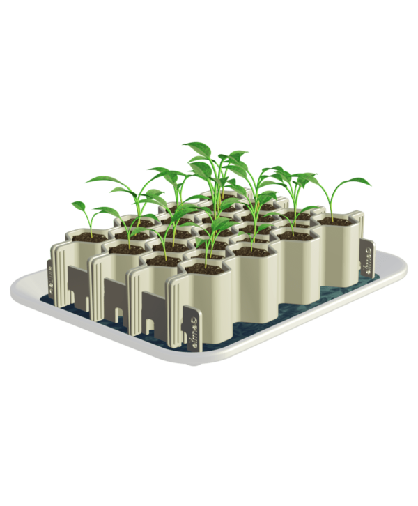 Kit de germination graines moyennes 25 plants La boutique Germie